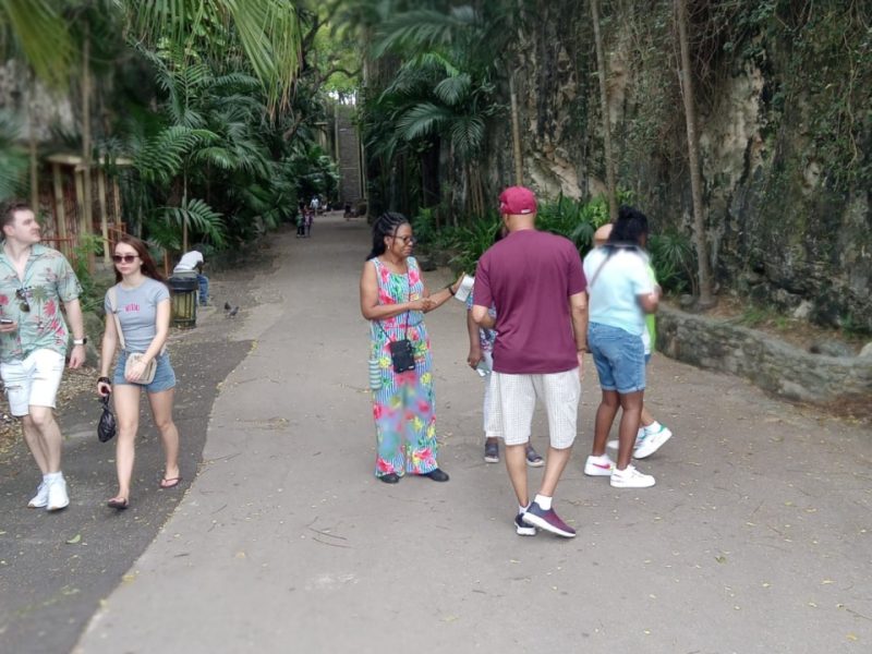 Nassau Bahamas Tours